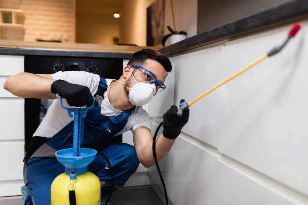 Flea Control Services in North Richland Hills, TX
