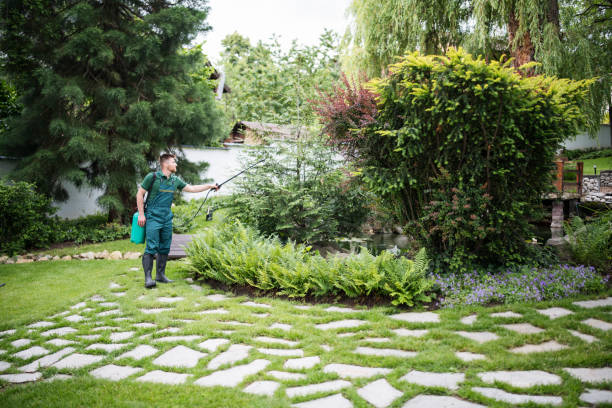 Trusted North Richland Hills, TX Pest Control Experts