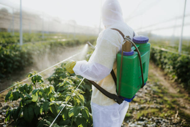 Reliable North Richland Hills, TX Pest Control Solutions